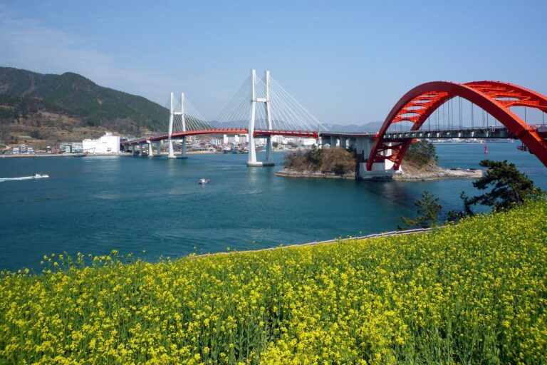 남쪽 바다에서 백마고지까지
